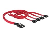 Bild von DELOCK Kabel mini SAS 36pin zu 4x SATA SFF 8087 > 4x SATA 50cm