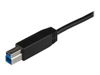 Bild von STARTECH.COM USB C to USB B Printer Cable 1m 3 ft Superspeed USB 3.1 10Gbps