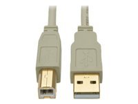 Bild von EATON TRIPPLITE USB 2.0 A/B Cable M/M Beige 6ft. 1,83m