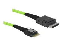 Bild von DELOCK Kabel OCuLink PCIe SFF-8611 zu Slim SAS SFF-8654 0,5 m