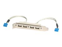 Bild von STARTECH.COM 4 Port USB 2.0 Buchse Slotblech Adapter mit 2x 10-Pin Mainboard Header