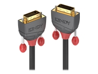 Bild von LINDY 0,5m DVI-D Dual Link Kabel Anthra Line