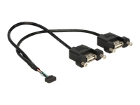 Bild von DELOCK Kabel USB 2.0 Pfostenbuchse 2,00 mm 10 Pin > 2 x USB 2.0 Typ-A Buchse zum Einbau 25 cm