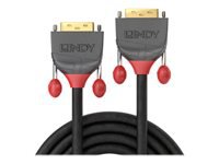 Bild von LINDY 20m DVI-D Kabel M/M Anthra Line DVI-I 18+5 Single Link Digital + Analog