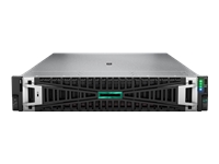 HPE DL380 G11 4510 2x32G 8SFF NVMe Svr
