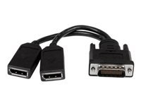 Bild von STARTECH.COM 20cm LFH 59 auf Dual DisplayPort DMS 59 Kabel - St/Bu