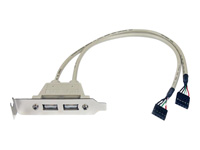 Bild von STARTECH.COM 2 Port USB 2.0 Low Profile Slotblech - Buchse