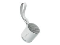 SONY SRSXB100H.CE7 wireless speaker Grey