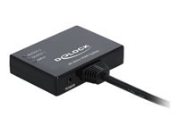 Bild von DELOCK HDMI Splitter 1 x HDMI in > 2 x HDMI out 4K 60 Hz