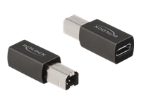 Bild von DELOCK USB 2.0 Adapter USB Type-C Buchse zu Typ-B Stecker