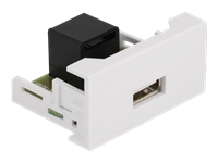 Bild von DELOCK Easy 45 Modul USB 2.0 Typ-A Buchse zu RJ45 Buchse 22,5x4 mm