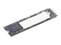 LENOVO ThinkPad 512GB Performance PCIe