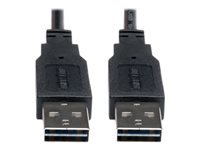 Bild von EATON TRIPPLITE Universal Reversible USB 2.0 Cable Reversible A to Reversible A M/M 10ft. 3,05m