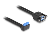 Bild von DELOCK Kabel USB 5 Gbps Pfostenbuchse 90 gewinkelt zu 2 x USB 5 Gbps Typ-A Buchse zum Einbau 50cm