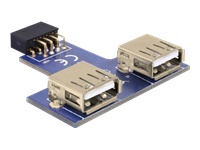 Bild von DELOCK MBz USB Pinheader Bu > 2x USB2.0-A Bu ne