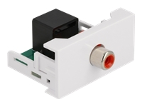 Bild von DELOCK Easy 45 Modul Cinch Buchse zu RJ45 Buchse 22,5x45mm