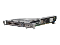 HPE DL380 G11 2U Sec/Tert NEBS Riser Kit