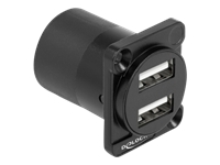 Bild von DELOCK D-Typ Modul USB 2.0 Typ-A 2 x Buchse zu 2 x Buchse