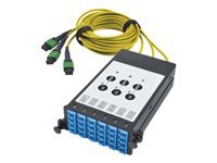 Bild von EATON TRIPPLITE 40/100Gb Fiber Breakout Cassette with Built-In MTP Cables 40Gb to 4x10Gb 100Gb to 4x25Gb