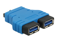 Bild von DELOCK Adapter USB 3.0 Pfostenbuchse > 2 x USB 3.0 Typ-A Buchse