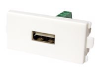 Bild von VALUE A/V-Anschluss-System USB- Modul 1x USB 2.0 Typ A