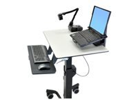 ERGOTRON Laptop Mount w Clamp Accessory