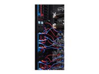 Bild von APC Power Cord Kit 6 EA LockingC19 TO C20 1,2m Red