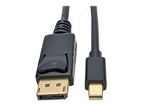 Bild von EATON TRIPPLITE Mini DisplayPort to DisplayPort Adapter Cable M/M 4K 60Hz Black 6ft. 1,8m