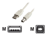 Bild von VALUE USB Kabel USB2.0 A/B m/m 1,8m beige