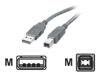 Bild von ROLINE USB 2.0 Cable Type A-B 0.8m