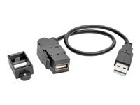 Bild von EATON TRIPPLITE USB 2.0 All-in-One Keystone/Panel Mount Extension Cable M/F Angled Connector 1ft. 0,31m