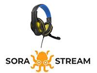 Bild von Bundle STEELPLAY Wired Headset+LUDIUM Sora Stream 3 month for free DE