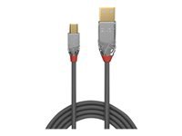 Bild von LINDY 0,5m USB 2.0 Typ A an Mini-B Kabel Cromo Line 480 Mbit/s