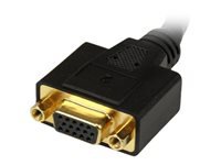 Bild von STARTECH.COM 20cm DVI-I Stecker auf DVI-D Buchse und VGA Buchse Splitter - DVI / HD15 Splitterkabel