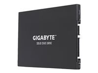 Bild von GIGABYTE GIGABYTE UD Pro 256GB 6,35cm 2,5Zoll SSD