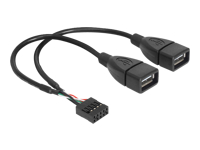 Bild von DELOCK Kabel USB Pinheader Buchse > USB-A 2 x Buchse 20 cm