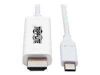 Bild von EATON TRIPPLITE USB-C to HDMI Adapter Cable M/M 4K 60 4:4:4 Thunderbolt 3 Compatible White 6ft. 1,8m