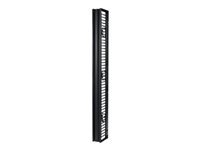 Bild von APC Valueline Vertical Cable Manager fuer 2 & 4 Post Racks - 84H X 6W - Single-Sided mit Tuer