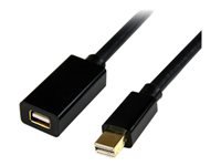 Bild von STARTECH.COM Mini DisplayPort Kabel 90cm - Mini Displayplort Verlängerungskabel - 4K2K - St/Bu