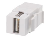 Bild von LINDY USB A/B Doppelkupplung Keystone Modul fuer Wanddosen