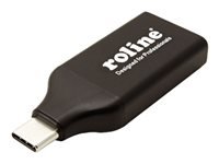 Bild von ROLINE Display Adapter USB Typ C - DisplayPort v1.2