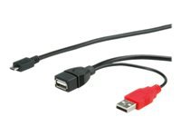 Bild von ROLINE USB2.0 Y Kbl A-MicroB ST/BU-BU 1m