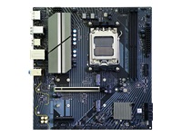 Bild von SAPPHIRE B650M-E 1xHDMI 1.4 1xDP 1.2