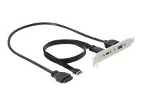 Bild von DELOCK Slotblech mit 1 x USB Type-C und 1 x USB Typ-A Port