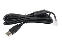 Bild von APC Kabel USB zu RJ45 Simple Signaling