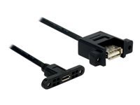 Bild von DELOCK Kabel USB 2.0 micro-B Buchse zum Einbau > USB 2.0 A Buchse zum Einbau 0,25 m