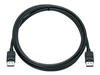 HP DISPLAYPORT CABLE KIT