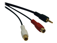 Bild von EATON TRIPPLITE 3,5mm Mini Stereo to RCA Audio Y Splitter Adapter Cable M/2xF 6 in. 15,2cm