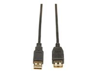 EATON TRIPPLITE USB 2.0 Extension Cable