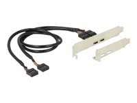 Bild von DELOCK Slotblech - 2 x USB Type-C  2.0 Low Profile Form Faktor